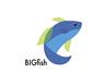Big Fish Information Technology Services Plymouth