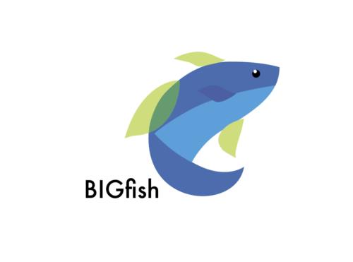 Big Fish Information Technology Services Plymouth